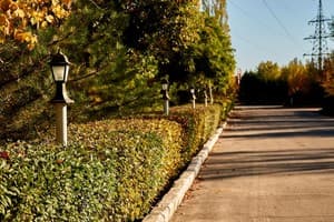 Гостиный Двор 10